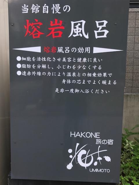 Отель Umimoto Хаконе Экстерьер фото